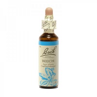 Beech (fagus sylvatica)(hêtre) - Bach original® - Herboristerie Bardou™