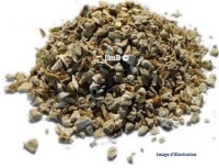 Plante en vrac - Acore (acorus calamus var americanus) - Herbo-phyto - Herboristerie Bardou™ 