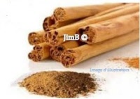 Plante en vrac - Cannelle de ceylan (cinnamomum zeylanicum) - Herbo-phyto - Herboristerie Bardou™ 
