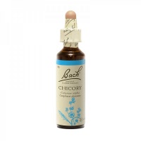 Chicory (cichorium intybus)(chicorée) - Bach original® - Herboristerie Bardou™