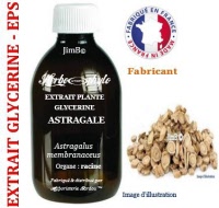 Extrait plante glycérine - EPS - Astragale (astragalus membranaceus) - Herbo-phyto - Herboristerie Bardou™ 