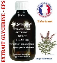 Extrait plante glycérine - EPS - Berce grande (heracleum sphondylium) - Herbo-phyto - Herboristerie Bardou™ 