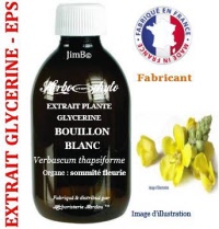 Extrait plante glycérine - EPS - Bouillon blanc (verbascum thapsiforme) - Herbo-phyto - Herboristerie Bardou™ 