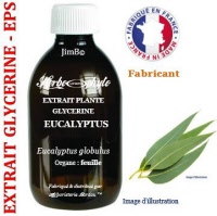 Extrait plante glycérine - EPS - Eucalyptus (eucalyptus globulus) - Herbo-phyto® - Herboristerie Bardou™