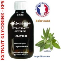 Extrait plante glycérine - EPS - Olivier (olea europaea) - Herbo-phyto® - Herboristerie Bardou™
