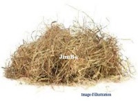 Plante en vrac – Foin (foenum) - Herbo-phyto - Herboristerie Bardou™