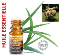 Huile essentielle - Arbre à perruques (cotinus coggygria) - Herbo-aroma - Herboristerie Bardou™ 