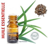 Huile essentielle - Bouleau merisier (betula lenta) - Herbo-aroma - Herboristerie Bardou™ 