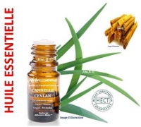 Huile essentielle -  Cannelle de ceylan 60% de c.a (cinnamomum verum) - Herbo-aroma - Herboristerie Bardou™ 