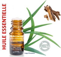 Huile essentielle - Cannelle (cinnamomum verum) - Herbo-aroma - Herboristerie Bardou™ 