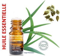 Huile essentielle - Carotte (daucus carota) - Herboristerie Bardou™ 