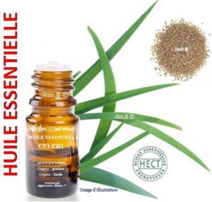 Huile essentielle - Céleri (apium graveolens) - Herbo-aroma - Herboristerie Bardou™ 