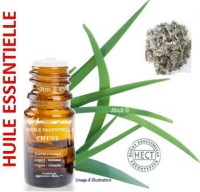 Huile essentielle - Chêne (evernia prunastri) - Herbo-aroma - Herboristerie Bardou™ 