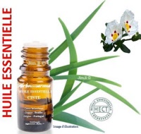 Huile essentielle - Ciste (cistus ladaniferus) - Herbo-aroma - Herboristerie Bardou™ 