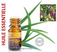 Huile essentielle - Epinette rouge (picea rubens) - Herbo-aroma - Herboristerie Bardou™ 