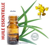 Huile essentielle - Gênet (spartium junceum) - Herbo-aroma - Herboristerie Bardou™ 