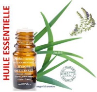 Huile essentielle - Hysope officinale (hyssopus officinalis) - Herbo-aroma - Herboristerie Bardou™ 