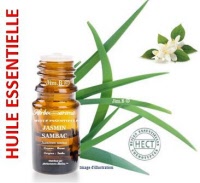 Huile essentielle - Jasmin arabe (jasminum sambac) - Herbo-aroma - Herboristerie Bardou™ 