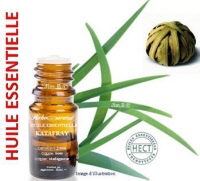 Huile essentielle - Katafray (cedrelopsis grevei) - Herbo-aroma - Herboristerie Bardou™ 
