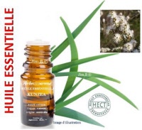 Huile essentielle - Kunzea (kunzea ambigua) - Herbo-aroma - Herboristerie Bardou™ 