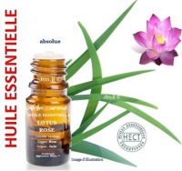 Huile essentielle - Lotus rose (nelumbo nucifera) - Herbo-aroma - Herboristerie Bardou™ 
