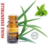 Huile essentielle - Mélisse (melissa officinalis) - Herbo-aroma - Herboristerie Bardou™ 