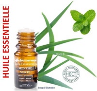 Huile essentielle - Menthe verte (mentha spicata)(nana) - Herbo-aroma - Herboristerie Bardou™ 