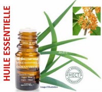 Huile essentielle - Osmanthus (osmanthus fragrans) - Herbo-aroma - Herboristerie Bardou™ 