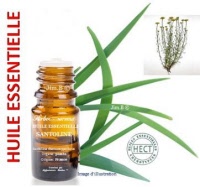 Huile essentielle - Santoline (santolina chamaecyparissus) - Herbo-aroma - Herboristerie Bardou™ 