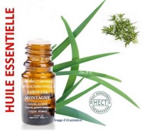 Huile essentielle - Sarriette (satureja hortensis) - Herbo-aroma - Herboristerie Bardou™ 