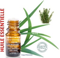 Huile essentielle - Thym doux (thymus vulgaris ct. thujanol) - Herbo-aroma - Herboristerie Bardou™ 