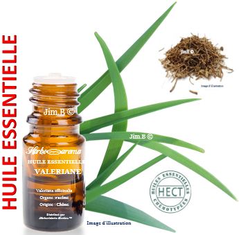 Huile essentielle - Valériane (valeriana officinalis) - Herbo-aroma - Herboristerie Bardou™ 