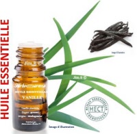 Huile essentielle - Vanille (vanilla planifolia) - Herbo-aroma - Herboristerie Bardou™ 