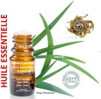 Huile essentielle - Varech (fucus vesiculosus) - Herbo-aroma - Herboristerie Bardou™ 