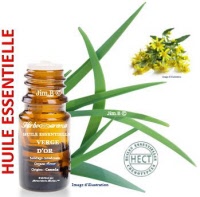 Huile essentielle - Verge dor (solidago canadensis) - Herbo-aroma - Herboristerie Bardou™ 