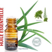 Huile essentielle - Vergerette (coniza canadensis) - Herbo-aroma - Herboristerie Bardou™ 