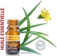Huile essentielle - Ylang ylang II (cananga odorata) - Herbo-aroma - Herboristerie Bardou™ 