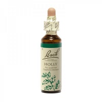 Fleur de bach - Holly (ilex aquifolium)(houx) - Bach original® - Herboristerie Bardou™