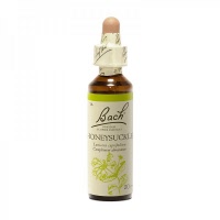Fleur de bach - Honeysuckle (lonicera caprifolium)(chèvrefeuille) - Bach original® - Herboristerie Bardou™