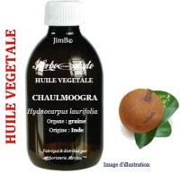 Huile végétale - Chaulmoogra (hydnocarpus laurifolia) SAUV - Herbo-aroma - Herboristerie Bardou™ 