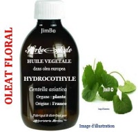 Huile végétale - Hydrocotyle (centella asiatica) BIO - Herbo-aroma - Herboristerie Bardou™