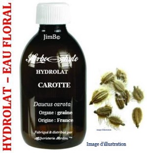 Hydrolat - Carotte (daucus carota) - Herbo-aroma - Herboristerie Bardou™ 
