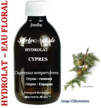 Hydrolat - Cypres (cupressus sempervirens) - Herbo-aroma - Herboristerie Bardou™ 