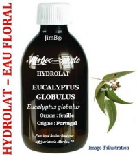 Hydrolat- Eucalyptus (eucalyptus globulus) - Herbo-aroma - Herboristerie Bardou™ 