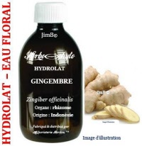 Hydrolat - Gingembre (zingiber officnalis) - Herbo-aroma - Herboristerie Bardou™ 