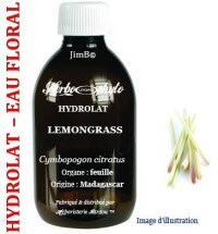 hy lemongrass.1