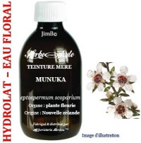 Hydrolat - Manuka (leptospermum scoparium) - Herbo-aroma - Herboristerie Bardou™ 
