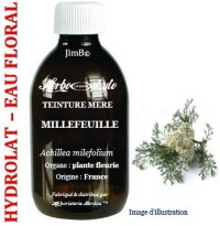 Hydrolat - Millefeuille (achilea milefolium) - Herbo-aroma - Herboristerie Bardou™ 