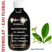 Hydrolat - Ravintsara (cinnamomum camph. ct. cineole) - Herbo-aroma - Herboristerie Bardou™ 