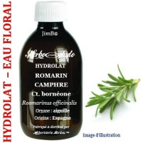 Hydrolat - Romarin camphre (rosmarinus officinalis ct. borneone) - Herbo-aroma - Herboristerie Bardou™ 